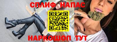 мдпв Новозыбков