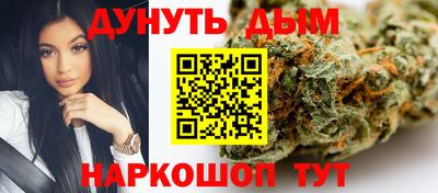 мдпв Новозыбков