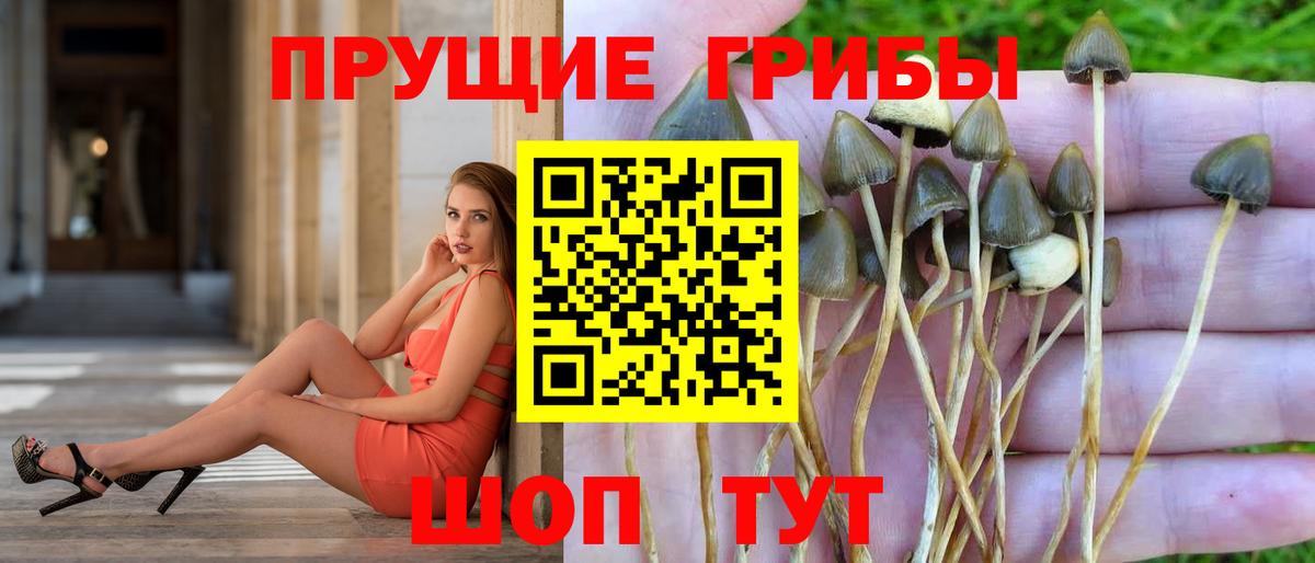 Галлюциногенные грибы мицелий  Вход с VPN  Чусовой 